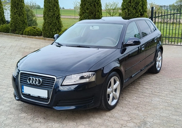 Audi A3 cena 22999 przebieg: 263000, rok produkcji 2008 z Gozdnica małe 529